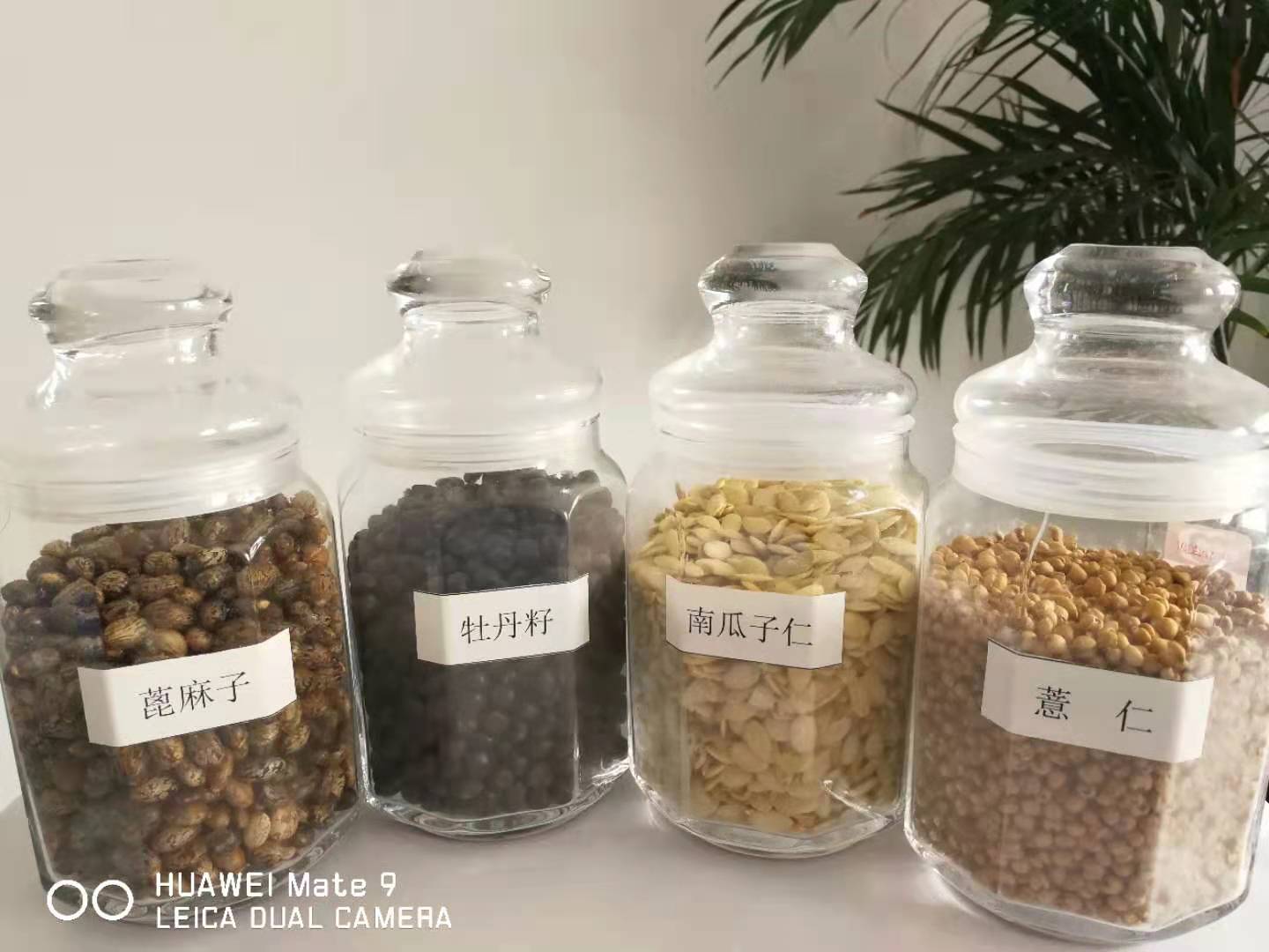 江西有机山茶油