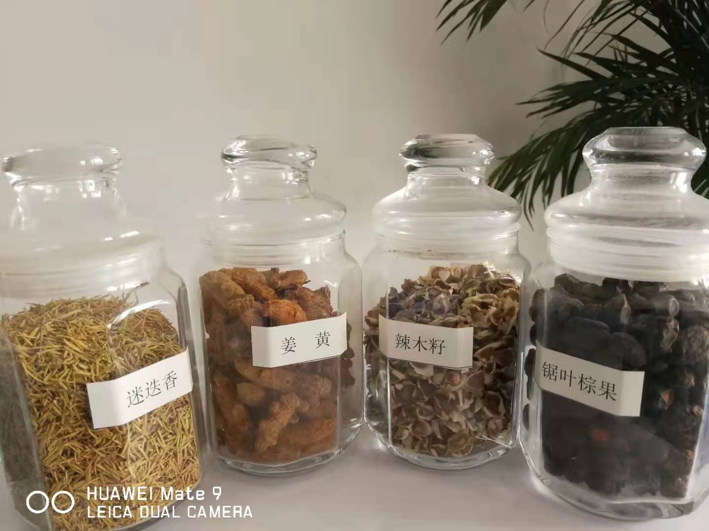 江西山茶籽油代加工