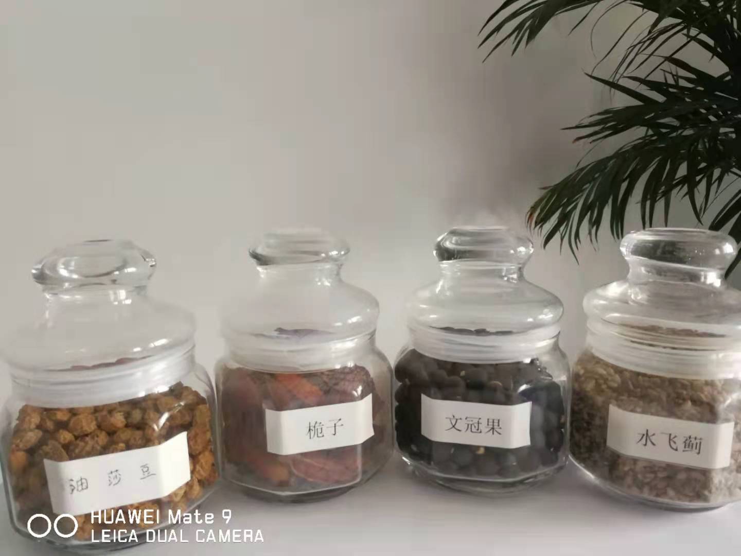 江西牡丹籽油原油