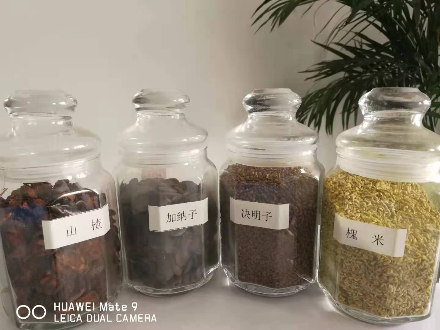 江西有机茶籽油散油