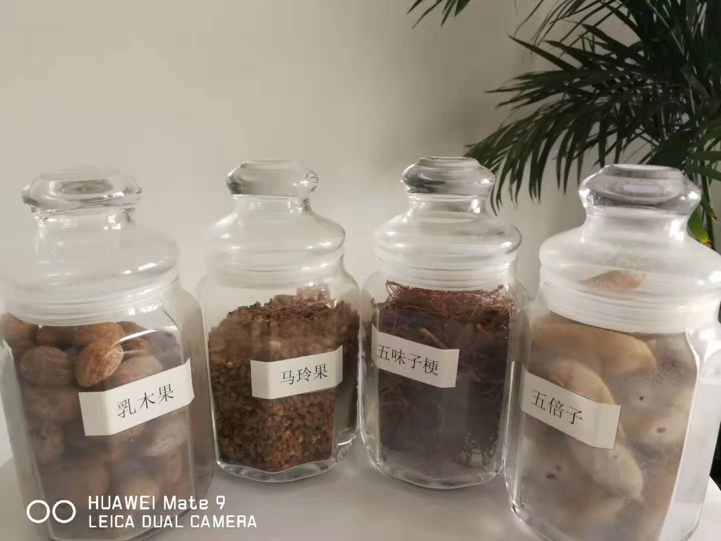 江西有机山茶油散油